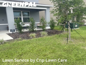 Yard Mowing nearby Davenport, FL, 