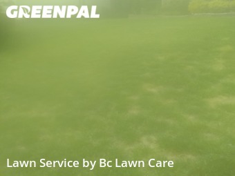 Lawn Cutting nearby Raleigh, NC, 