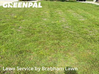 Lawn Cut nearby Gonzales, LA, 