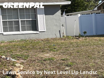 Grass Cutting nearby Ocoee, FL, 