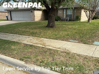 Grass Cut nearby Burleson, TX, 