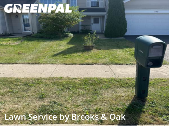 Grass Cut nearby Carol Stream, IL, 