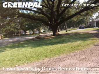 Lawn Care Service nearby Houston, TX, 