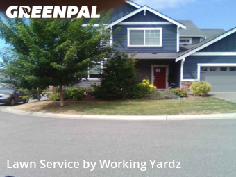Lawn Mow nearby Kent, WA, 