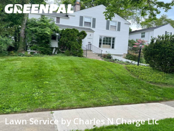 Grass Cut nearby Shaker Heights, OH, 