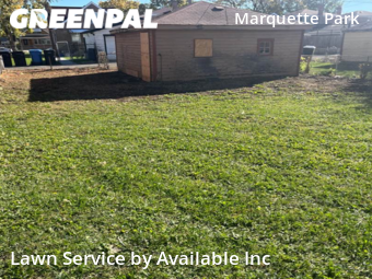 Lawn Service nearby Chicago, IL, 