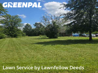 Weed Trimming in Goshen, 45122, Weed Trimming by Lawnfellow Deeds, work completed in Dec , 2025