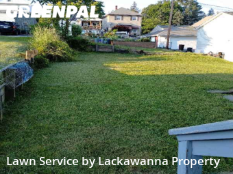 Lawn Cut nearby Scranton, PA, 