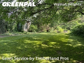Grass Cutting nearby Columbus, OH, 