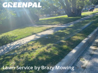 Yard Services in Wayne, 48184, Lawn Work by Brazy's Mowing Llc, work completed in Nov , 2025