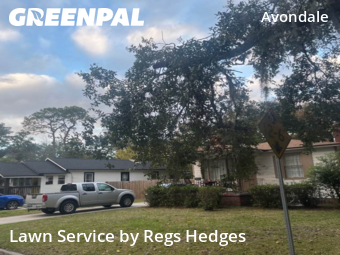 Lawn Mowing Servicein Jacksonville,32205,Lawn Mowing Service by Regs Hedges, work completed in Dec , 2025