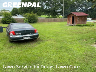Lawn Mow nearby Bowdon, GA, 