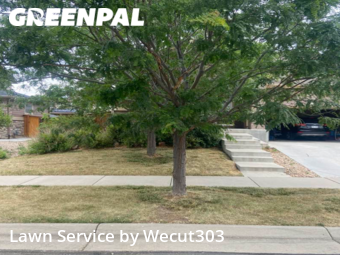 Grass Cut nearby Aurora, CO, 