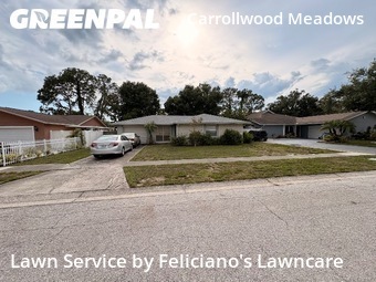 Lawn Cut nearby Tampa, FL, 