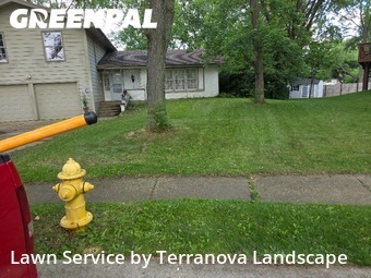Yard Grooming in Glen Ellyn, 60137, Yard Upkeep by Terranova Landscape, work completed in Oct , 2025