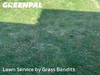 Lawn Mow nearby Billings, MT, 
