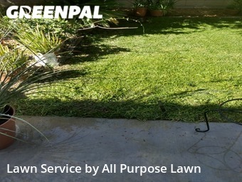 Lawn Maintenance nearby Las Vegas, NV, 