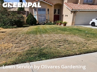 Grass Cut nearby Palmdale, CA, 