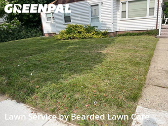 Lawn Mow nearby Ypsilanti, MI, 