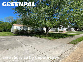 Lawn Care nearby Charlotte, NC, 