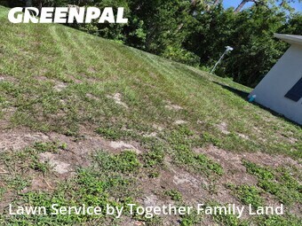 Yard Cutting nearby Port Charlotte, FL, 