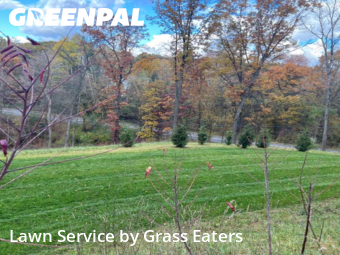 Lawn Mowing Service nearby Forest Hills, MI, 