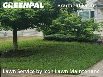 Lawn Cut nearby Charlotte, NC, 