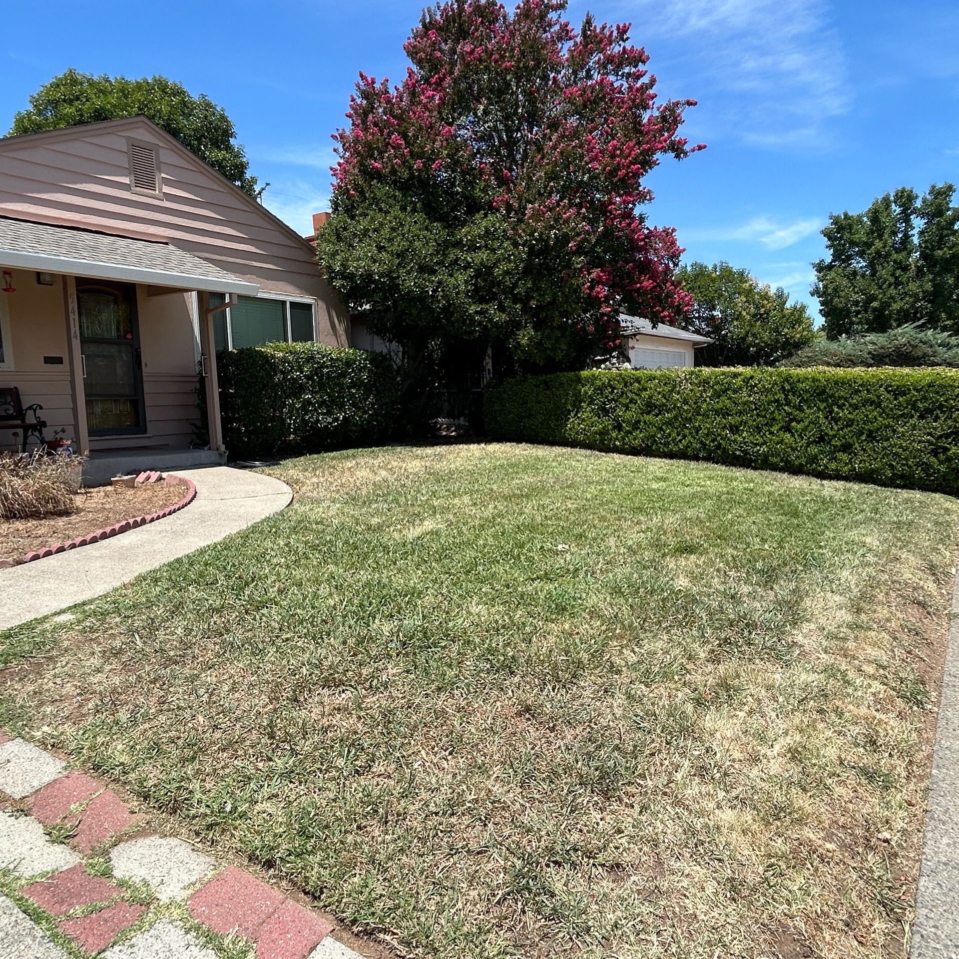 Lawn mowing work by Ocampo Lawn Care in Stockton, CA