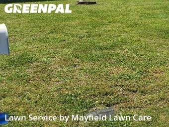Lawn Care nearby Suffolk, VA, 
