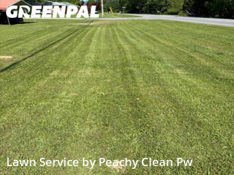 Yard Mowing nearby Bowdon, GA, 