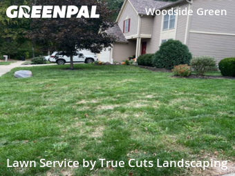 Grass Cutting in Gahanna, 43230, Lawn Services by True Cuts Landscaping, work completed in Oct , 2025