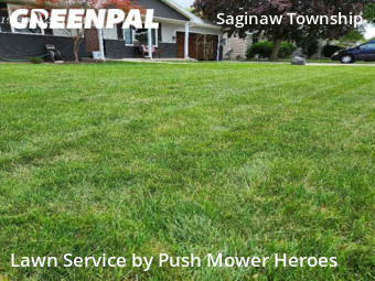 Yard Cutting nearby Saginaw, MI, 