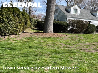 Lawn Care nearby Tenafly, NY, 