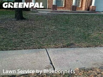 Lawn Mowing Service nearby Round Rock, TX, 