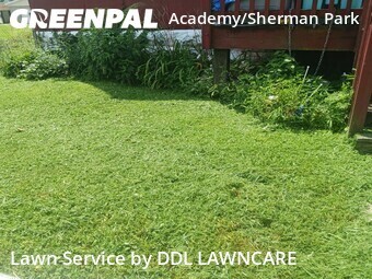 Lawn Maintenance nearby St. Louis, MO, 
