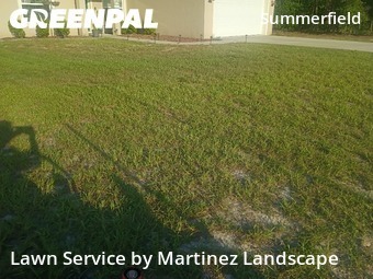 Lawn Maintenance nearby Summerfield, FL, 