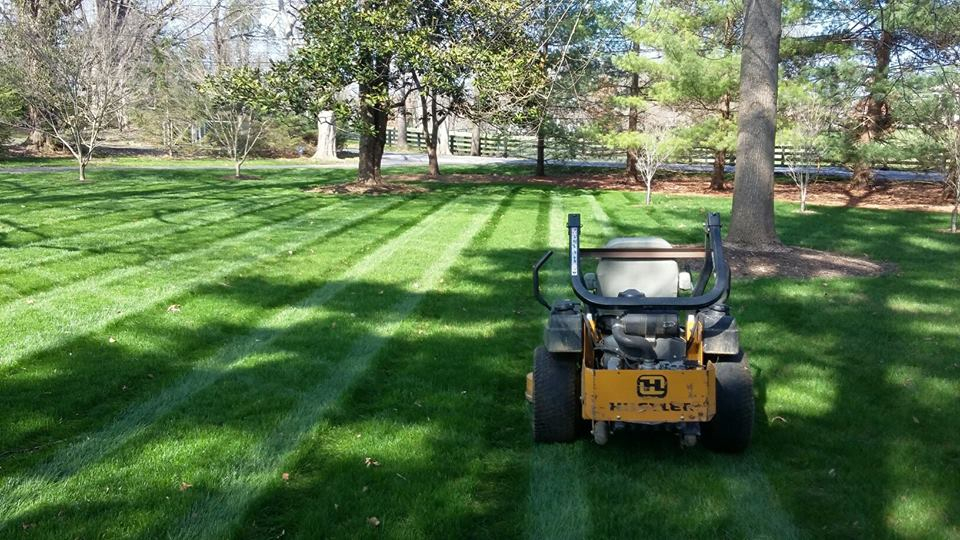 Lawn Mowing Contractor in Louisville, KY, 47130