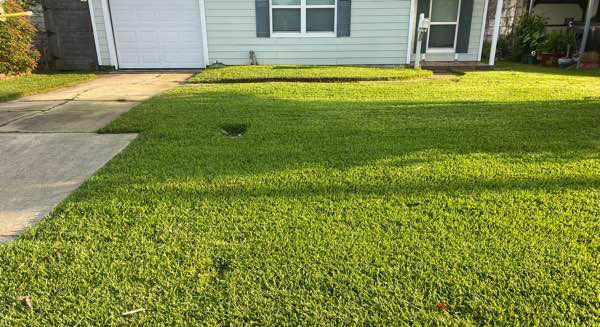 Order Lawn Care in Pasadena, TX, 77506