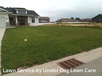 Grass Cutting nearby Green Bay, WI, 