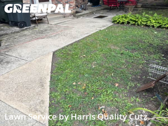 Lawn Maintenance nearby South Chicago Heights, IL, 