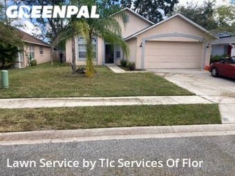 Grass Cut nearby Orlando, FL, 
