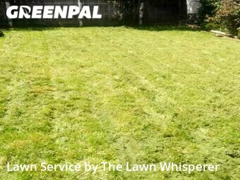 Lawn Care nearby Elverta, CA, 