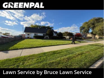 Lawn Management in Melrose Park, 60160, Front Yard Mowing by Bruce Lawn Service, work completed in Nov , 2025