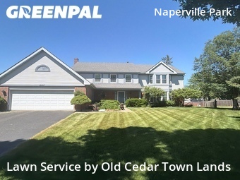 Yard Mowing nearby Naperville, IL, 