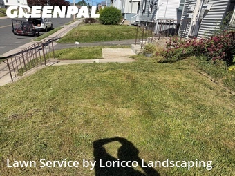 Lawn mowed in New Britain, 6051