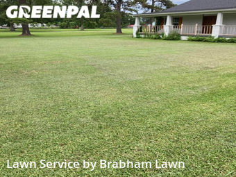 Yard Cutting nearby Gonzales, LA, 