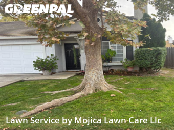 Residential Landscaping In Elk Grove,95758,Landscape Design by Mojica Lawn Care Llc, work completed in Nov , 2025