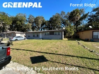 Yard Cutting nearby Daytona Beach, FL, 