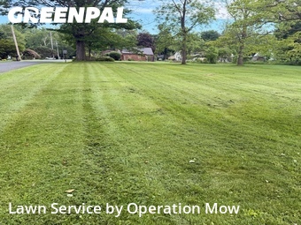 Grass Cut nearby Uniontown, OH, 