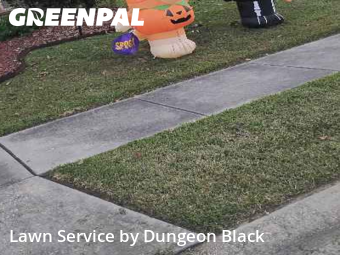 Yard Cutting nearby Baton Rouge, LA, 